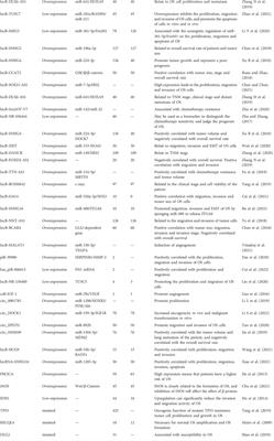 Non-coding RNAs as potential biomarkers in osteosarcoma